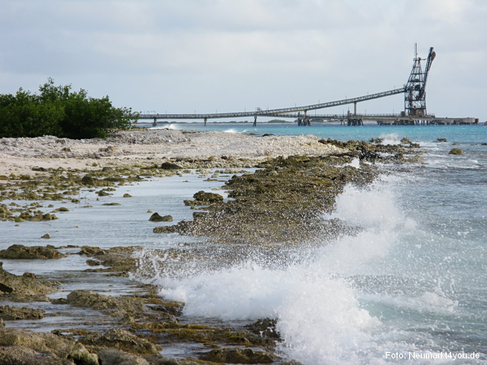 0002 Insel Bonaire 2009